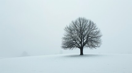 Single tree in snow covered field under foggy sky
