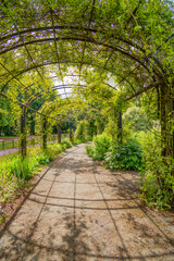 Beautiful garden archway and pergola with foliage and plants grown up and over the top. Paved walkway leading off in the distance.
