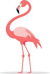 Flamingo vector. Birds of Amazonian forests in flat design illustration. Fauna of South America. Colorful flamingo for icons, posters, children's books illustrating. Isolated on white.