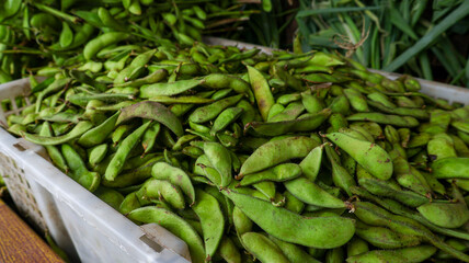 Fototapeta premium Fresh edamame displayed at a bustling farmers market. Vibrant green pods, harvested locally, ready for cooking. Healthy, nutritious snack or meal ingredient. Essence of farm-to-table produce