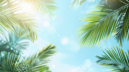 palm leaves on blue sky background --ar 16:9 --style raw Job ID: 5f4901f0-b10f-47b2-945e-47f3154b040c