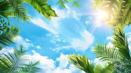 Fototapeta premium palm leaves on blue sky background --ar 16:9 --style raw Job ID: 90a9306e-e02d-4a94-96b2-6e0f3c927002