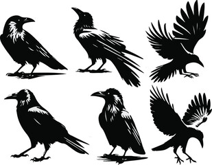 Fototapeta premium Timeless Crow Silhouette Logo set Vector