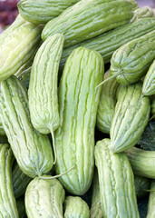 Close up on pile of fresh ripe Asian Bitter Melon for sale at Farmers Market. View from above.