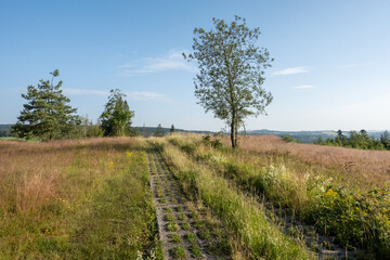 Obraz premium Nature reserve 