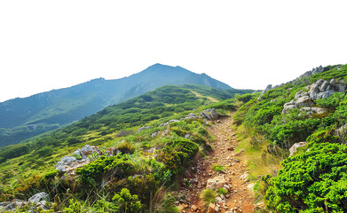 Fototapeta premium Scenic mountain hiking trail through lush greenery and rocky terrain, cut out