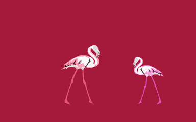 a pair of flamingos on a deep red background