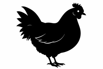Rooster and chicken, Hen vector illustration, chicken silhouette, Hen silhouette isolated vector Illustration, png, Chicken icon