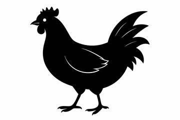 Rooster and chicken, Hen vector illustration, chicken silhouette, Hen silhouette isolated vector Illustration, png, Chicken icon