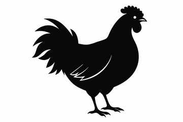 Rooster and chicken, Hen vector illustration, chicken silhouette, Hen silhouette isolated vector Illustration, png, Chicken icon