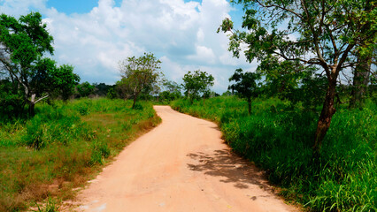 Vacation in Sri Lanka South East Asia