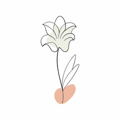 One line drawing minimalist flower illustration in line art style (15)