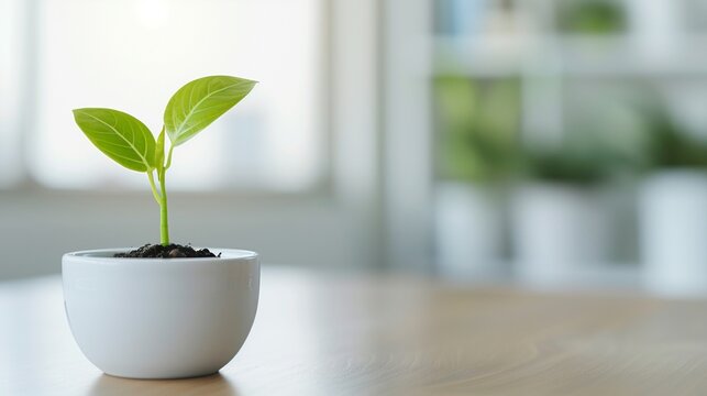 Investor reviewing a report on renewable energy investments, photorealistic, bright office