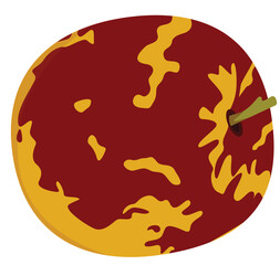 Single Jujube Fruit Illustration