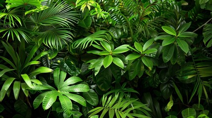 Green palm foliage background, symbolizing tropical freshness