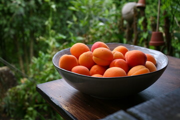 Many apricots in a blue bowl on a wooden board with green bokeh background