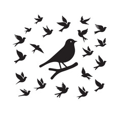 set of birds