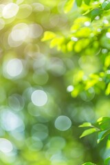 Obraz premium Blurred green nature background with bokeh for spring or summer natural concept