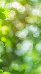 Fototapeta premium Blurred green nature background with bokeh for spring or summer natural concept