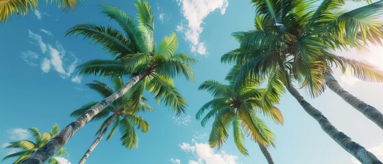 Obraz premium Immerse yourself in the tropical paradise of cyber palm trees, savoring the serenity and beauty with room for text