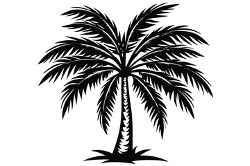 Obraz premium vector set of tropical palm tree silhouettes