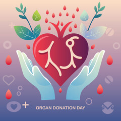 blood donor icon vector design