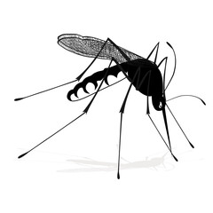 gnat mosquito midge dengue fever bloodsucker Glyphvector tattoo