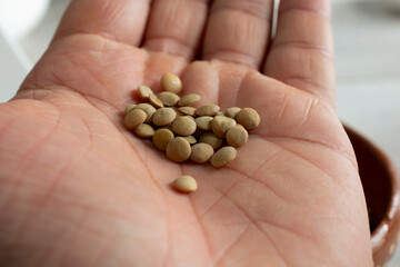 A view of a pile of raw green lentils in the palm of the hand.
