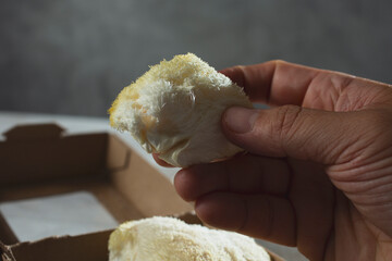 A view of a hand holding up a lion's mane mushroom.