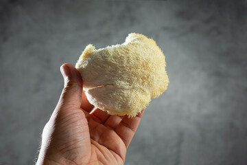A view of a hand holding up a lion's mane mushroom.