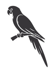 Fototapeta premium Black and white bird, vector illustration.