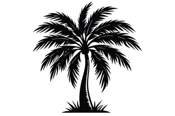 Fototapeta premium vector set of tropical palm tree silhouettes