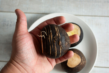 A view of a hand holding a black radish.