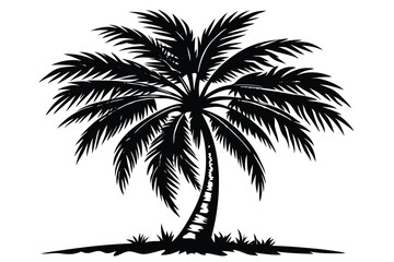 Fototapeta premium vector set of tropical palm tree silhouettes