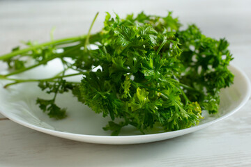 A view of a bundle of Italian curly parsley on a plate.