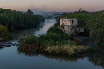 Obraz premium Vestiges of the Papalo Mill, a hydraulic mill located on the Guadalquivir River as it passes through Cordoba, declared Andalusian Historical Heritage, Andalusia.
