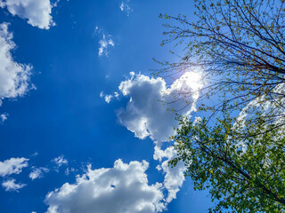 On a bright sunny day, the blue sky with a heart-shaped cloud.