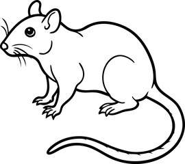 Obraz premium A mouse is sitting on the ground