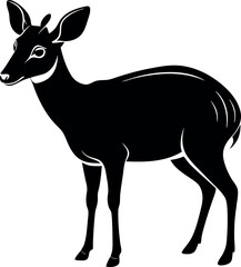 A deer is standing in front of a white background