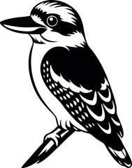 A black and white bird with a beak is sitting on a branch
