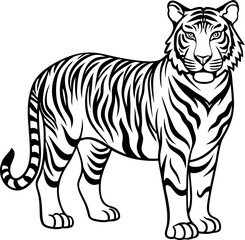 Obraz premium A black and white tiger standing in front of a white background