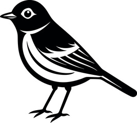 Fototapeta premium A black and white bird with a white head