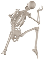 skeleton posing 3d render illustration with transparent background