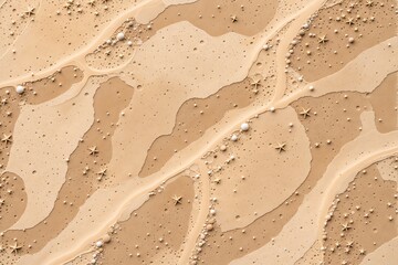 Sand and beach background with rocks and shells