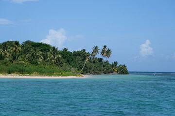 Tropical Island Paradise