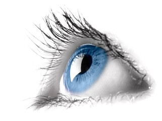 Obraz premium Blue Female Eye on white