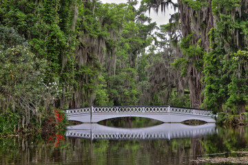 White bridge at the Magnolia Plantations and Gardens in Charleston, South Carolina. 