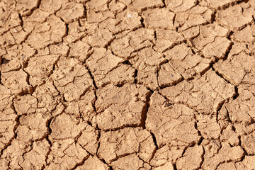 cracked earth draught environment graphic