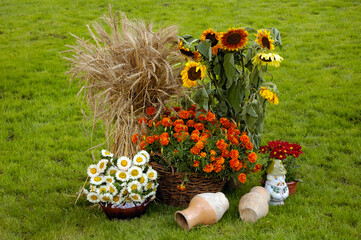 Artistic Gardening Flower Arrangement