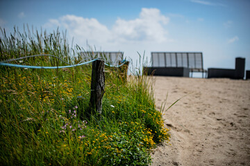 At the beach